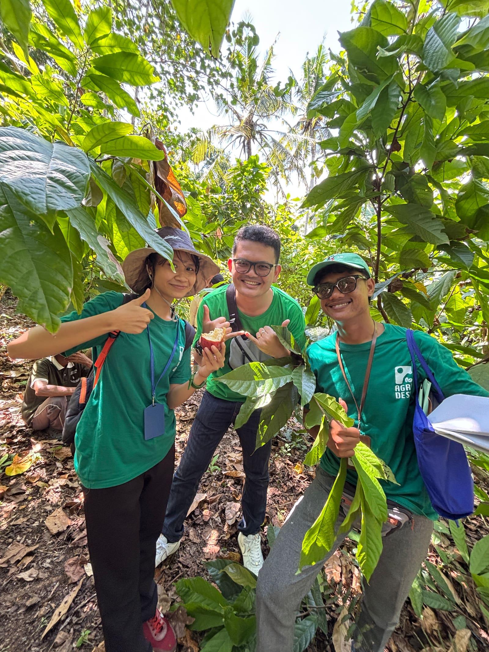 Tim Agridesa bersama petani di kebun kakao