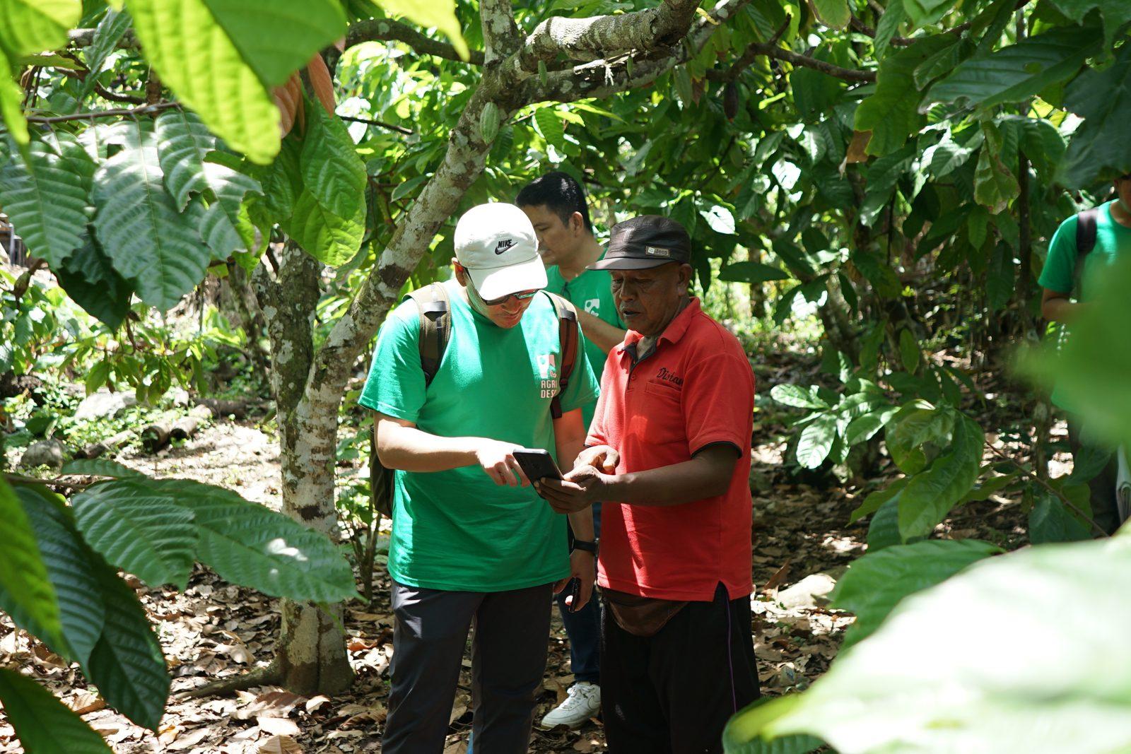 Tim Agridesa menunjukkan aplikasi ke petani di kebun kakao